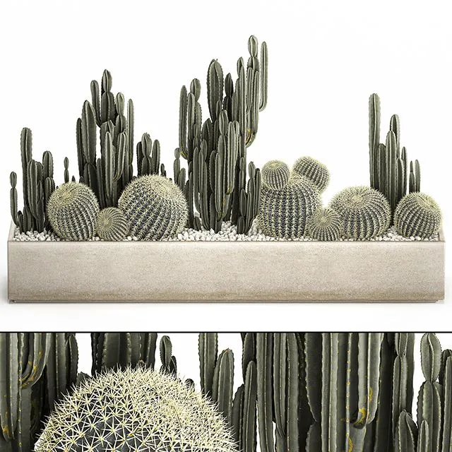 Plant collection 1097 3D Model