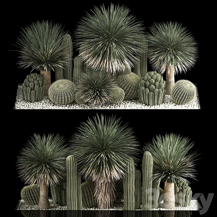 Plant collection 1116. Desert Plants Gravel Yucca Dracaena Pebble Cactus Garden Cereus Round Cactus Landscaping Barrel cactus 3D Model Free