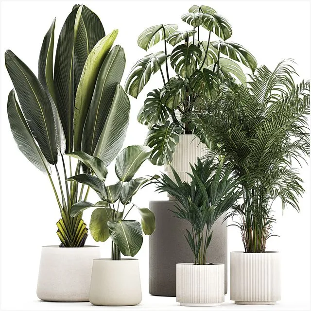 Plant collection 1320 3D Model