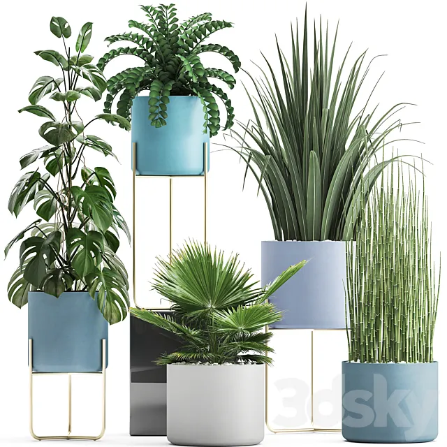 Plant collection 281. Monstera. brachea. palm tree. horsetail. indoor plants. pot. Scandinavian style. bushes. exotic. indoor 3DModel