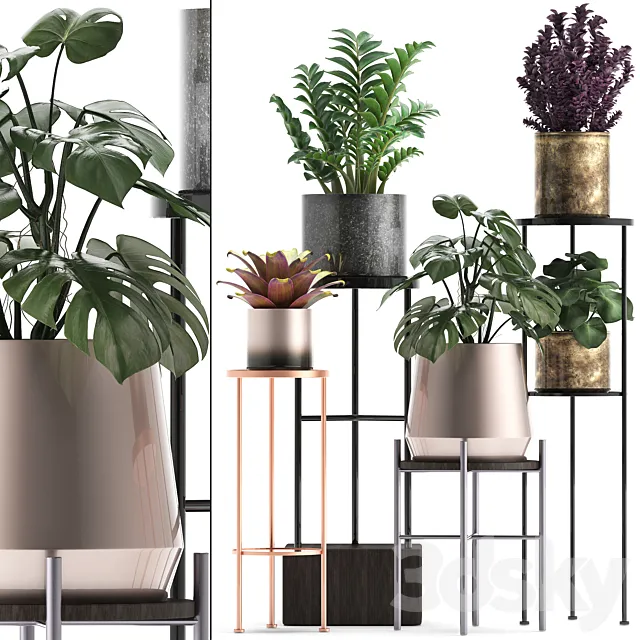 Plant collection 286. Flower shelf. pot. monstera. bromeliad. Zamioculcas. luxury. small plants. stand 3DModel