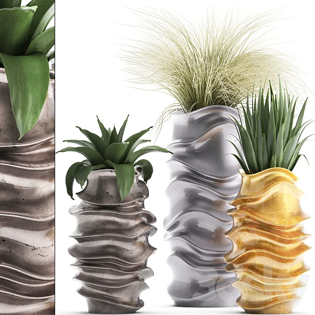 Plant collection 289. luxury flowerpot pot grass agave interior plants luxury decor 3D Model