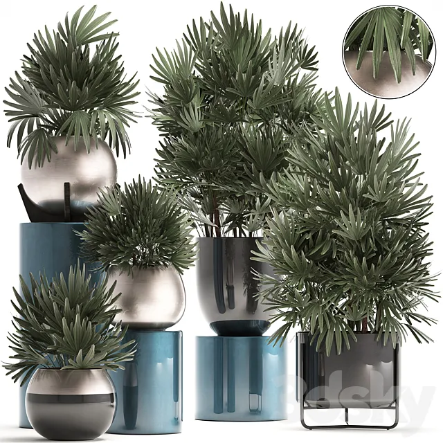 Plant collection 299. Interior palm tree. rapis. pot. flowerpot. luxury pot. bushes. thickets. Raphis Palm. stylish plants 3DModel