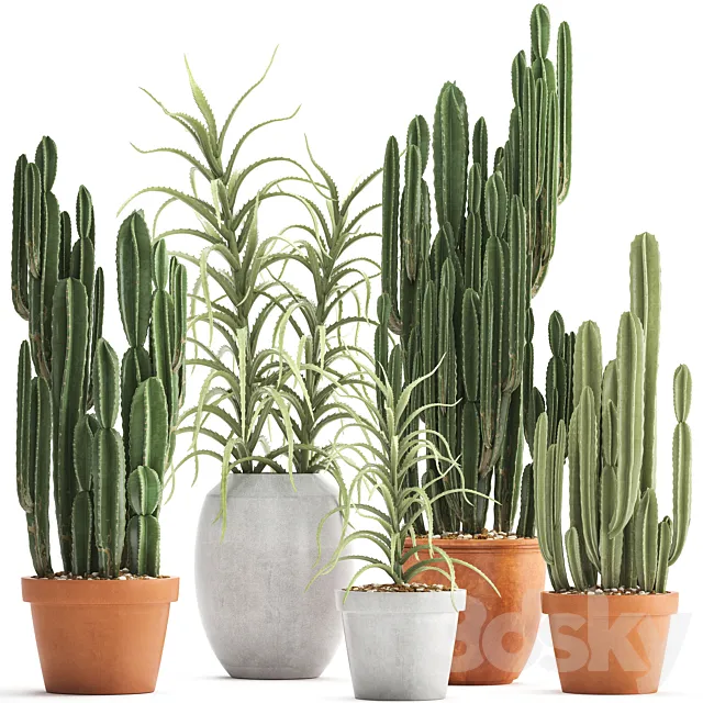 Plant collection 302. Cactus set. Cacti. cereus. aloe. indoor cactus. pot. flowerpot. clay. clinker. Aloe. concrete. desert plants. outdoor 3DModel