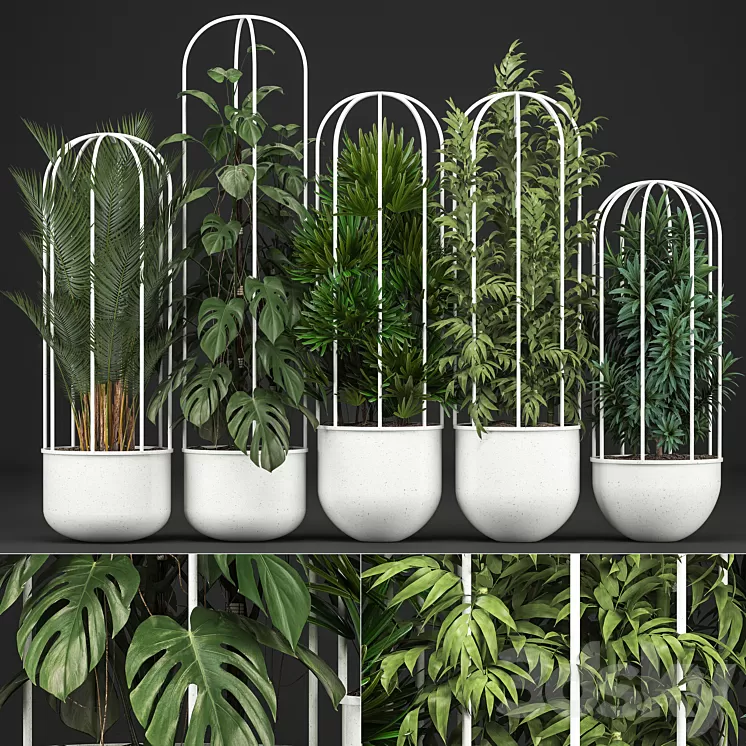 Plant collection 328. White pot flowerpot monstera bamboo dracaena palm tree indoor plants Scandinavian style metal flowerpot bushes thickets 3D Model