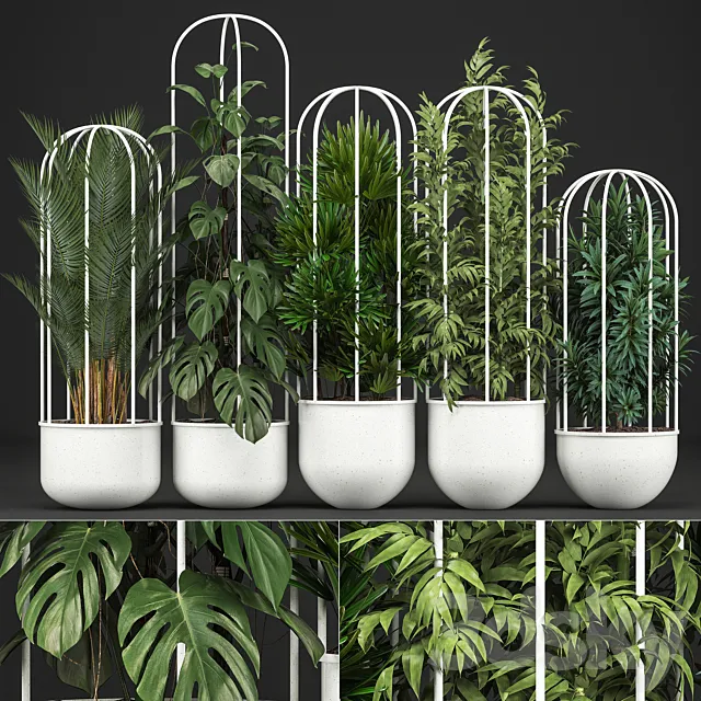 Plant collection 328. White pot. flowerpot. monstera. bamboo. dracaena. palm tree. indoor plants. Scandinavian style. metal flowerpot. bushes. thickets 3DModel