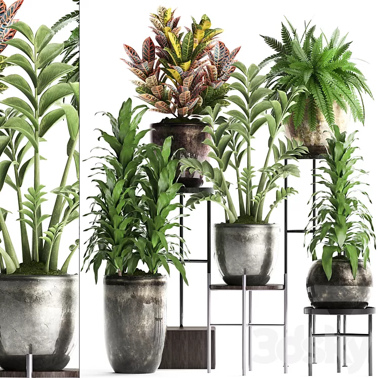 Plant Collection 362. luxury flowerpot croton fern Zamioculcas indoor plants luxury flowerpot flower stand interior