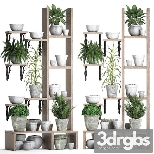 Plant collection 365. shelf with plants aloe flowerpot greenery vertical garden concrete eco design 2 3D Model Free