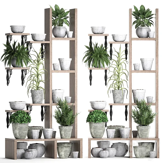 Plant Collection 365. Shelf with plants aloe flowerpot greenery vertical garden concrete eco design Free Download