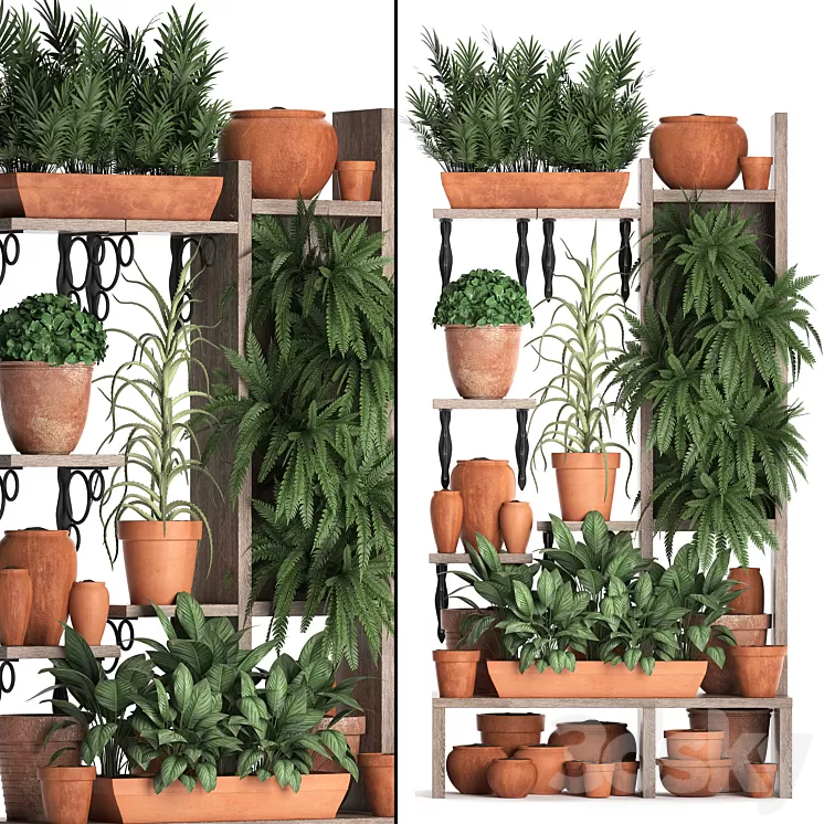 Plant Collection 366. Plant shelf fern flowerpot greenery vertical garden clay pot aloe clinker vertical garden phytowall 3D Model