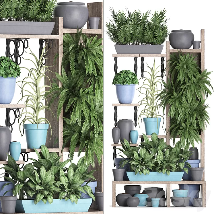 Plant Collection 367. Shelf with plants fern flowerpot greenery vertical garden phytowall phytomodule pots eco design 3D Model