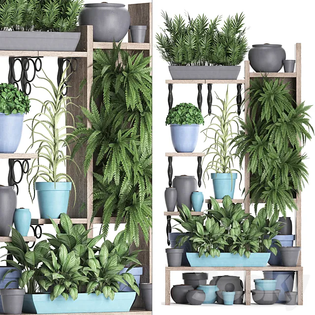 Plant Collection 367. Shelf with plants. fern. flowerpot. greenery. vertical garden. phytowall. phytomodule. pots. eco design 3DModel