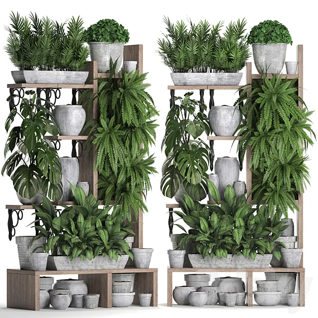 Plant Collection 369. Shelf with flowers fern flowerpot greenery vertical garden concrete pot phytowall phytomodule pots eco design Areca palm 3D Model
