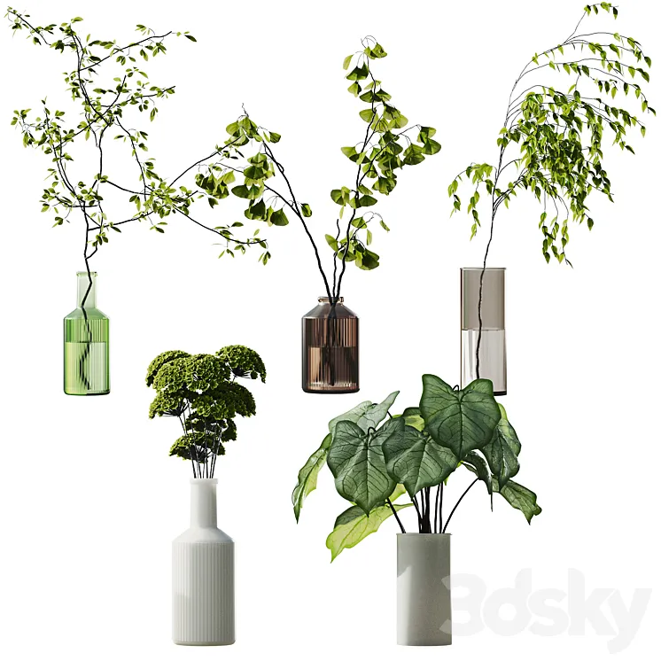 plant collection 4 3D Model Free