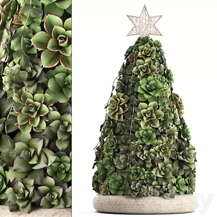 Plant Collection 420. succulents Christmas tree cake Echeveria 3D Model