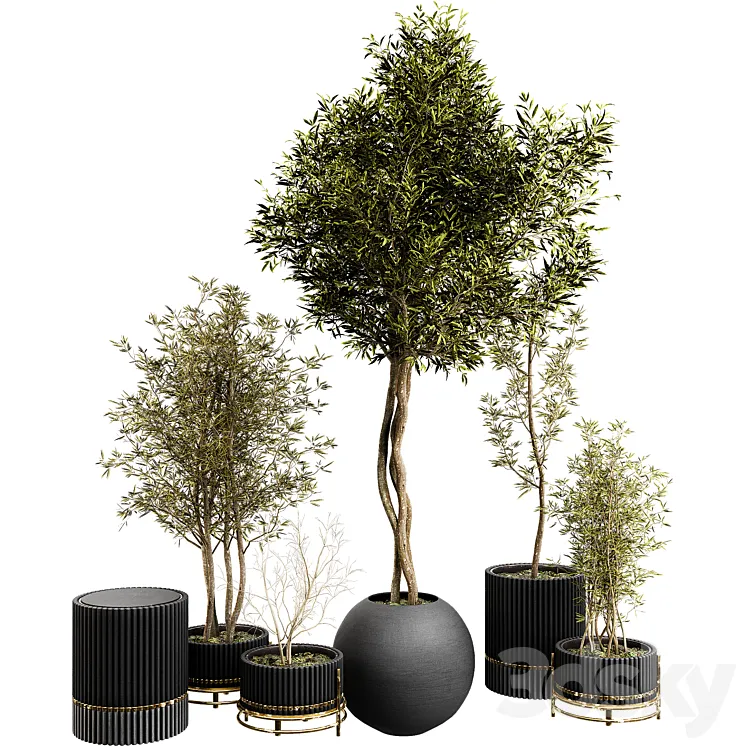 Plant Collection Set 03 3D Model Free