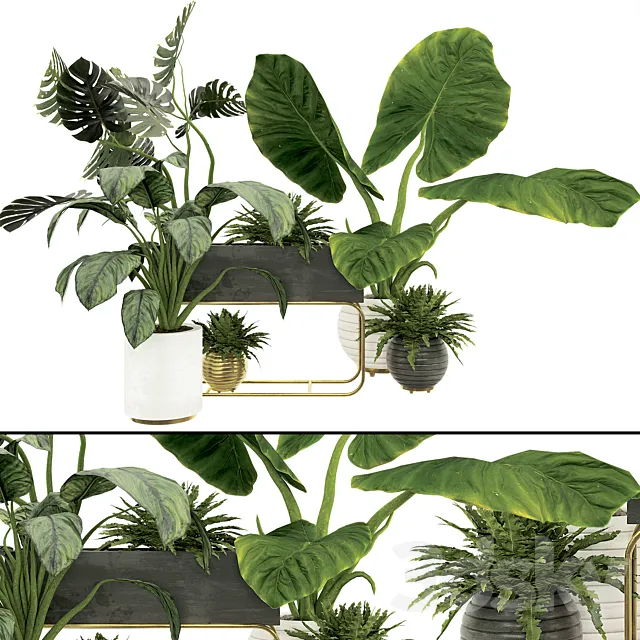 Plant Collection Set 07 3D Model