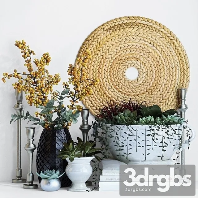 Plant Decor Set 02 3D Model Free