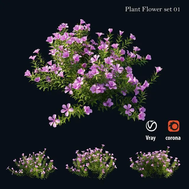 Plant Flower set 01 3D Model