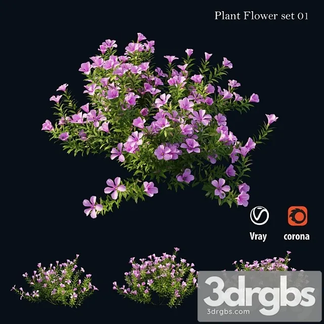 Plant Flower Set 01 3D Model Free