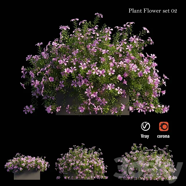 Plant Flower set 02 3DModel