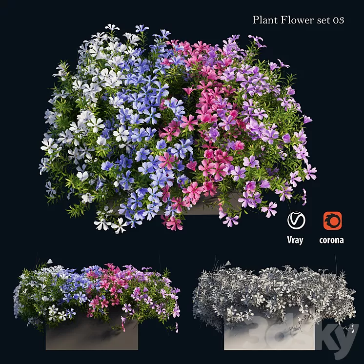 Plant Flower set 03 3D Model