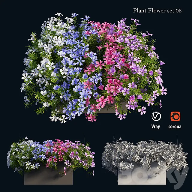 Plant Flower set 03 3DModel