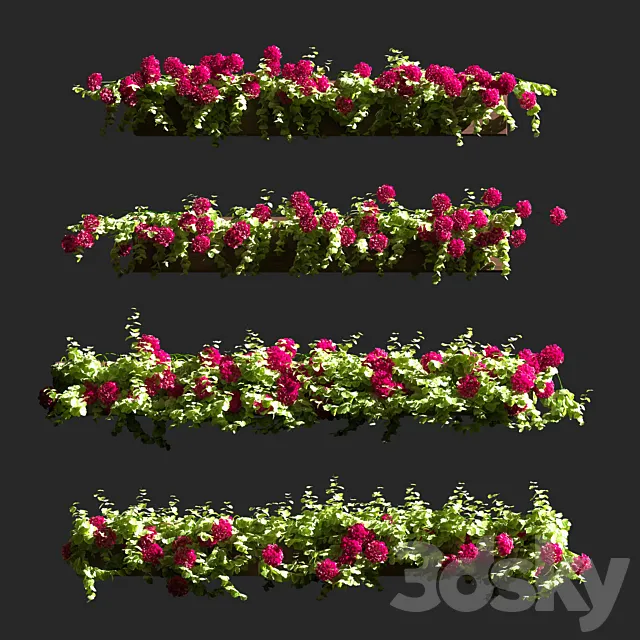 Plant Geranium Facade v2 3D Model