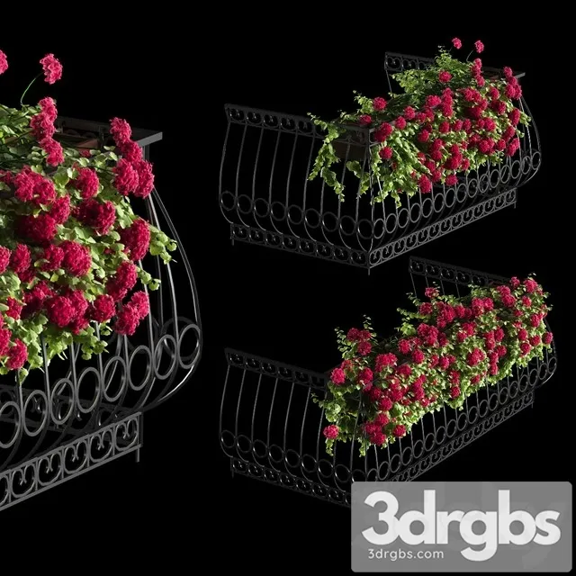 Plant Geranium for The Facade 3D Model Free