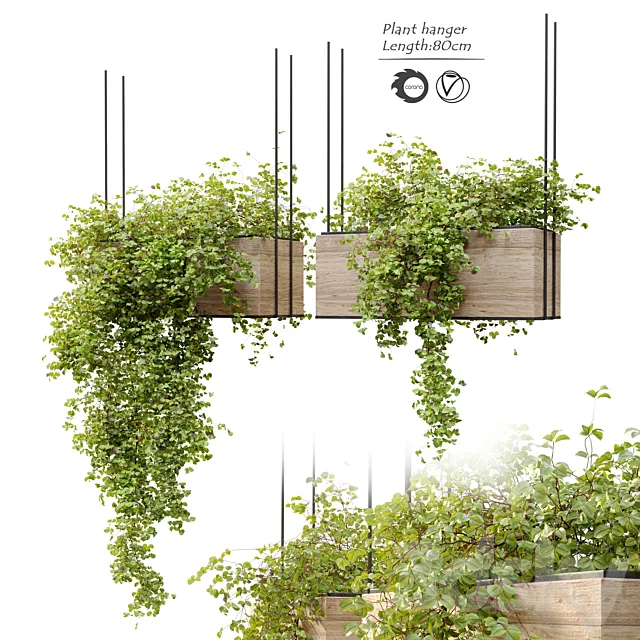 Plant hanger 3D Model