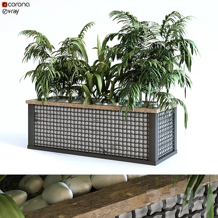 plant in box set 110 3D Model