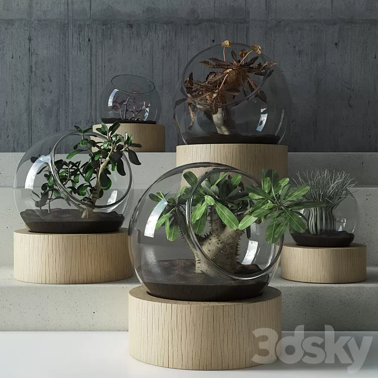 plant in glass 3D Model