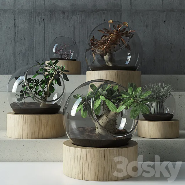plant in glass 3DModel