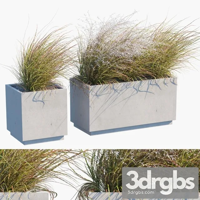 Plant In Pots 27 Wind Blows 3D Model Free