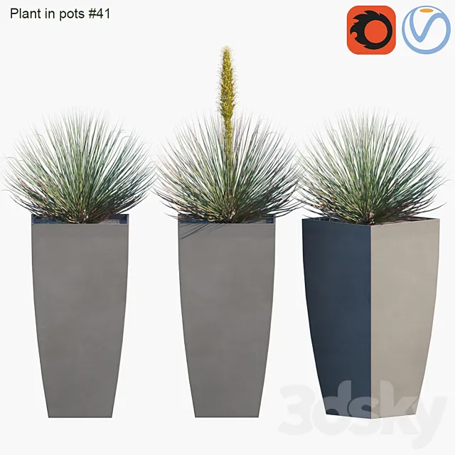 Plant in pots # 41: Agave 3D Model