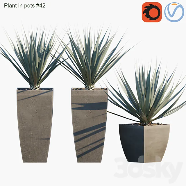 Plant in pots # 42: Agave 3D Model