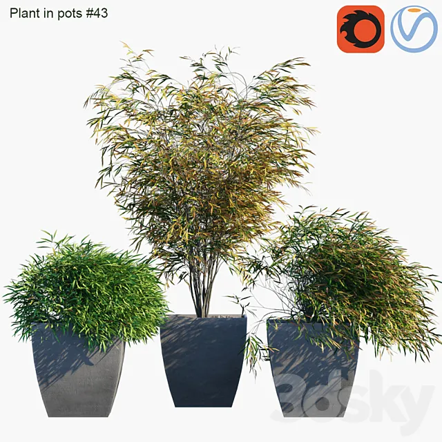 Plant in pots # 43: Palm and grass 3DModel
