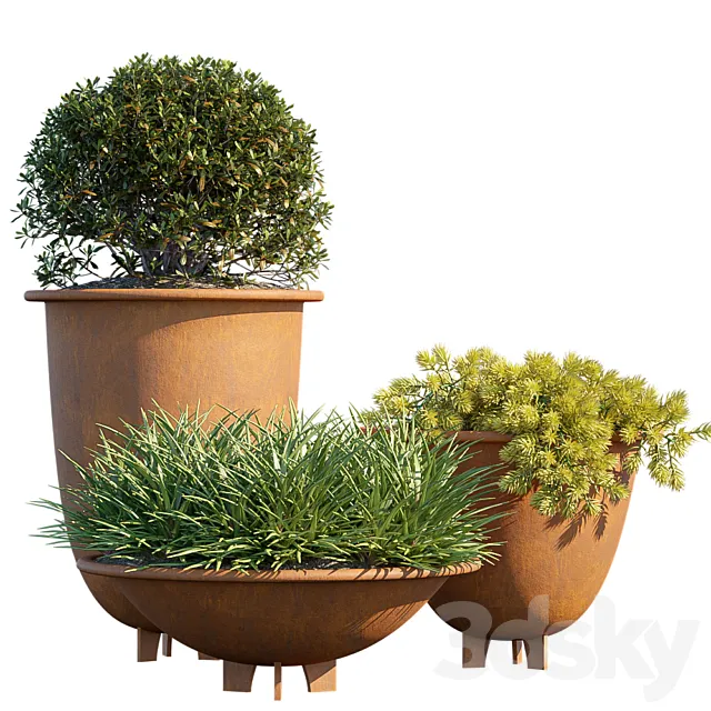 Plant in pots # 6 3D Model