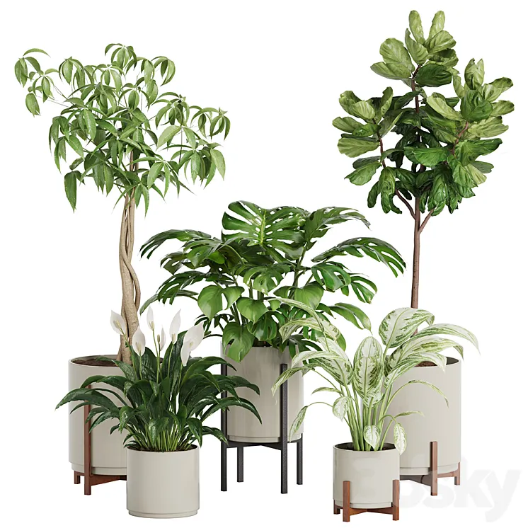 plant in pots_set 03 3D Model Free