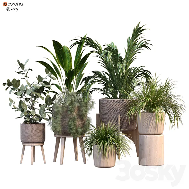 plant in vase collection set 214 3D Model