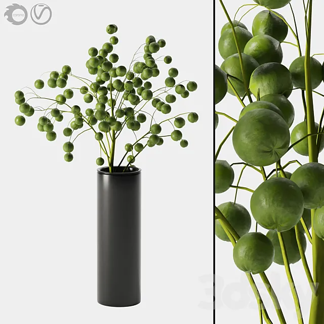 plant indoor 05 3DModel