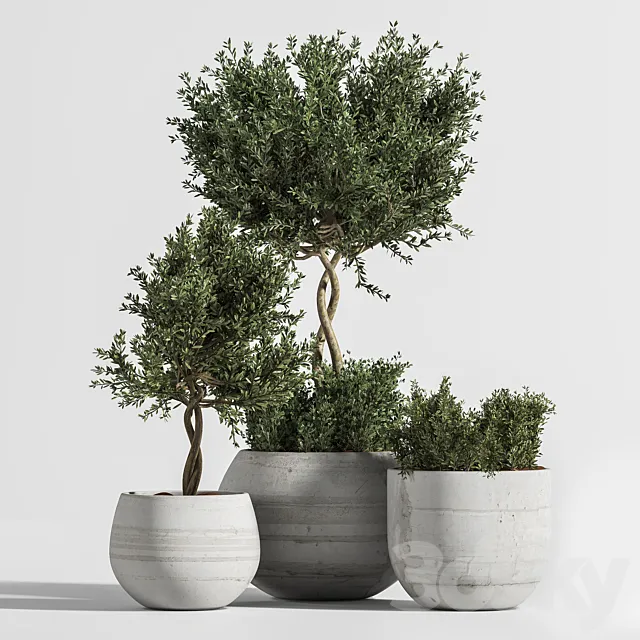 Plant Indoor with Concrete Leaf 3D Model