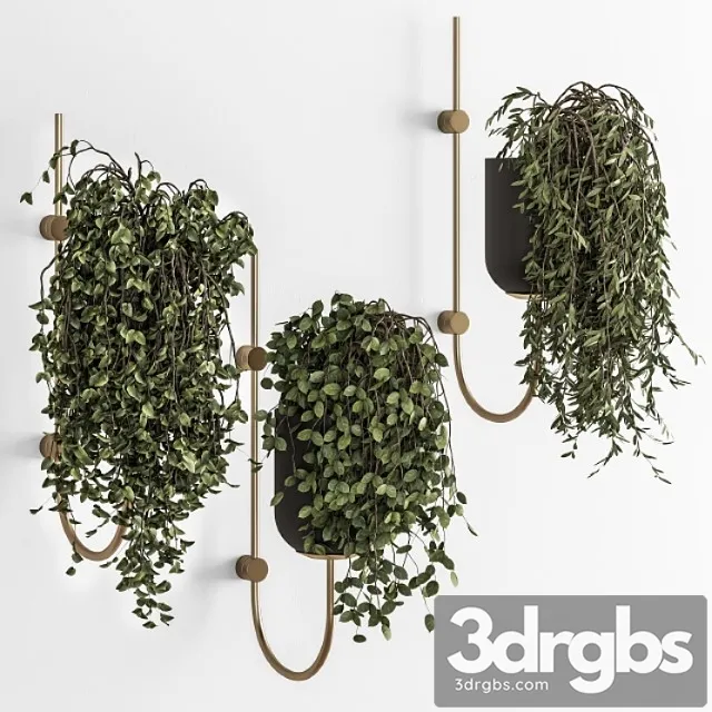 Plant pot on wall - indoor plants 280