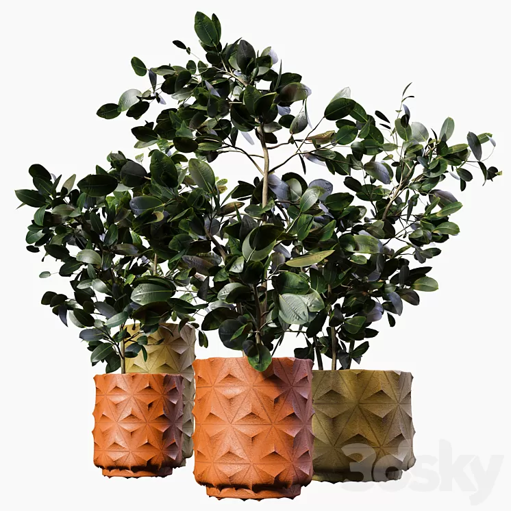 Plant-pot06 3D Model