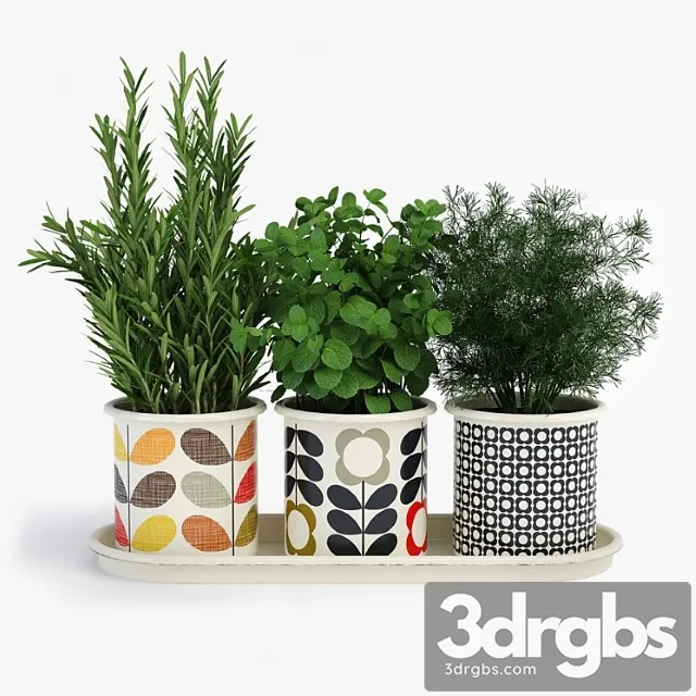 Plant Potted plants orla kiely herb pots