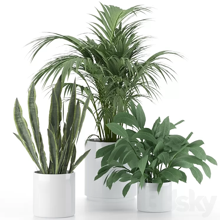 Plant-Set-001 3D Model Free