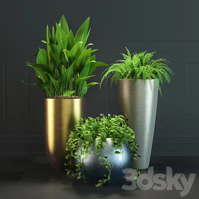 Plant Set # 1 3DModel
