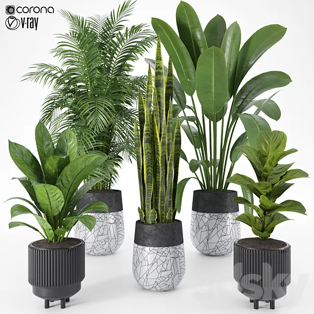 Plant Set 10 3D Model
