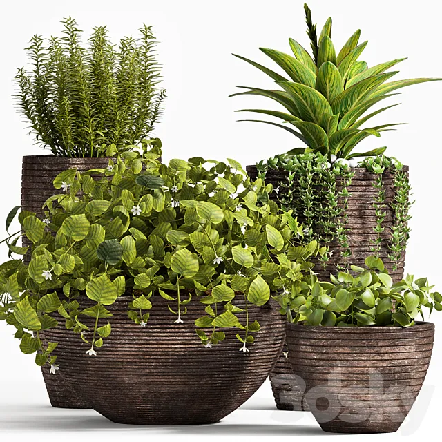 PLANT SET -101 3D Model