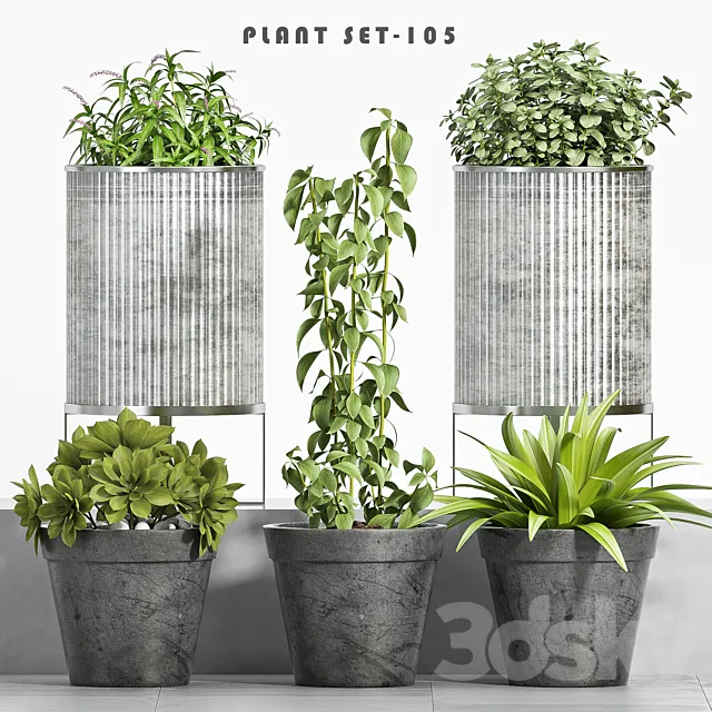 plant set-105 3DModel